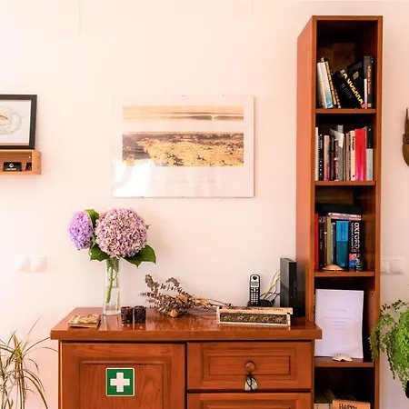 Alaia Surflodge Hotell