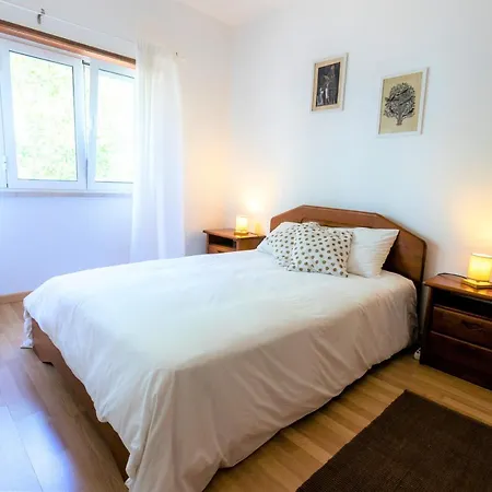 Alaia Surflodge Hotell *