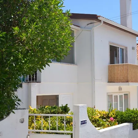 Hotell Alaia Surflodge