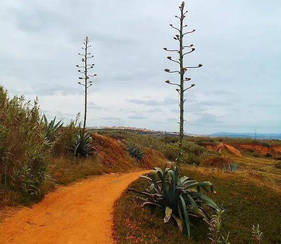 Alaia Surflodge * אריסרייה